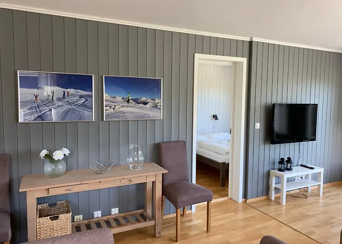 Apartamento Hemsedal, In Out, Skarsnuten Panorama 55 *